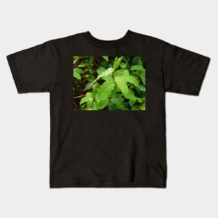 Water Drop or dew on Leaf with green background Kids T-Shirt
